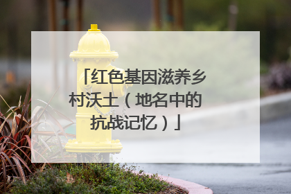 红色基因滋养乡村沃土（地名中的抗战记忆）