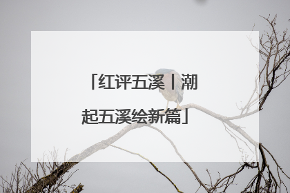 红评五溪丨潮起五溪绘新篇