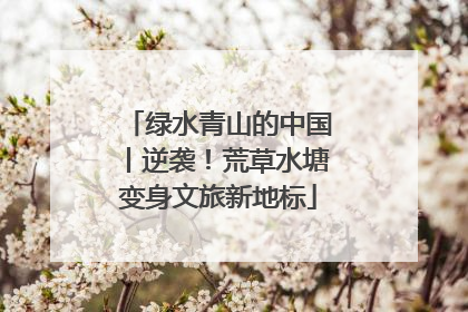 绿水青山的中国丨逆袭！荒草水塘变身文旅新地标