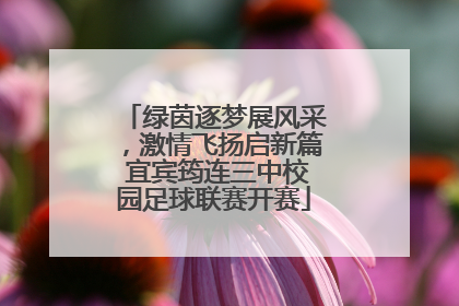 绿茵逐梦展风采，激情飞扬启新篇 宜宾筠连三中校园足球联赛开赛