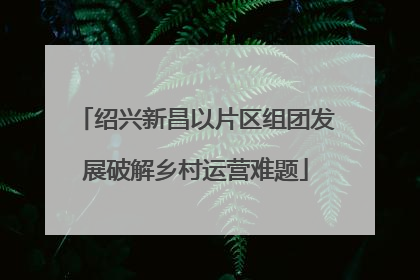 绍兴新昌以片区组团发展破解乡村运营难题