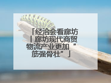 经洽会看廊坊丨廊坊现代商贸物流产业更加“筋强骨壮”