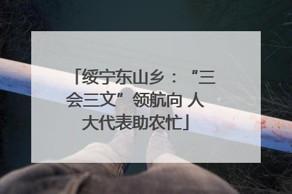 绥宁东山乡：“三会三文”领航向 人大代表助农忙