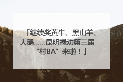 继续奖黄牛、黑山羊、大鹅……昆明禄劝第三届“村BA”来啦！