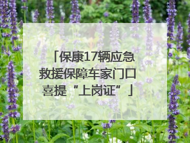 保康17辆应急救援保障车家门口喜提“上岗证”