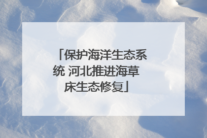 保护海洋生态系统 河北推进海草床生态修复