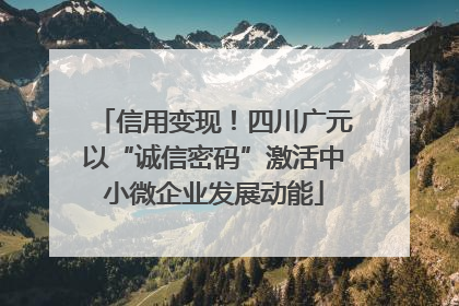 信用变现！四川广元以“诚信密码”激活中小微企业发展动能