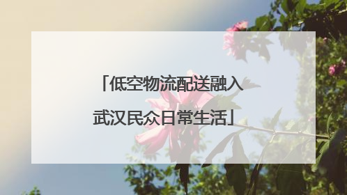 低空物流配送融入武汉民众日常生活