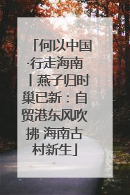 何以中国·行走海南丨燕子归时巢已新：自贸港东风吹拂 海南古村新生
