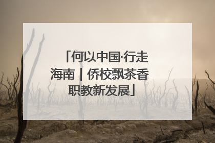 何以中国·行走海南｜侨校飘茶香 职教新发展