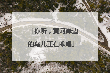 你听，黄河岸边的鸟儿正在歌唱