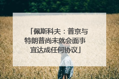 佩斯科夫：普京与特朗普尚未就会面事宜达成任何协议