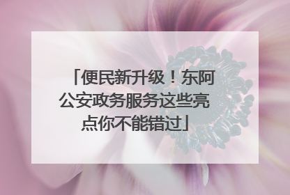 便民新升级！东阿公安政务服务这些亮点你不能错过