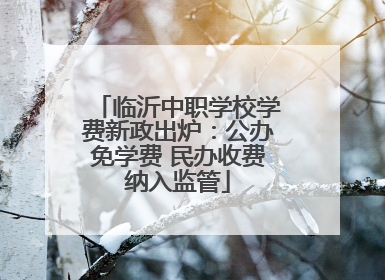 临沂中职学校学费新政出炉：公办免学费 民办收费纳入监管