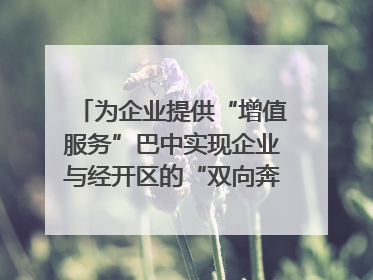 为企业提供“增值服务”巴中实现企业与经开区的“双向奔赴”｜川陕渝网络名人巴中行