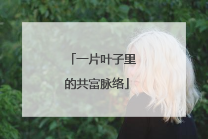 一片叶子里的共富脉络