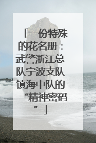 一份特殊的花名册：武警浙江总队宁波支队镇海中队的“精神密码”