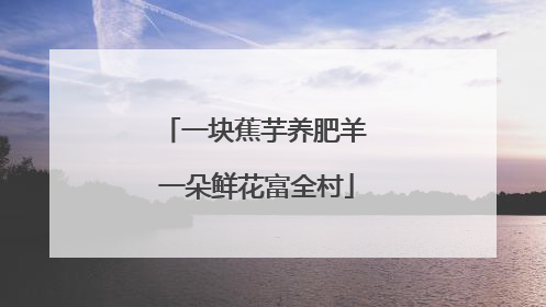 一块蕉芋养肥羊 一朵鲜花富全村