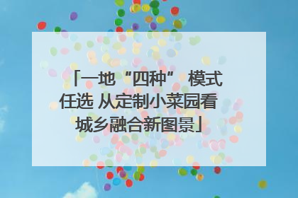 一地“四种” 模式任选 从定制小菜园看城乡融合新图景