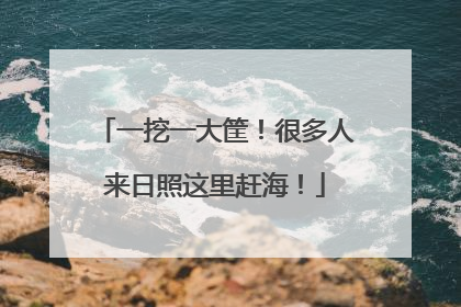一挖一大筐！很多人来日照这里赶海！