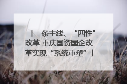 一条主线、“四性”改革 重庆国资国企改革实现“系统重塑”