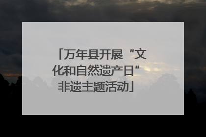 万年县开展“文化和自然遗产日”非遗主题活动