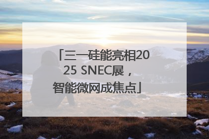 三一硅能亮相2025 SNEC展，智能微网成焦点