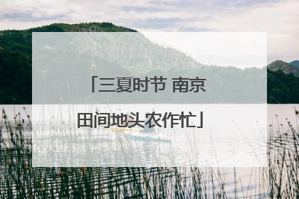 三夏时节 南京田间地头农作忙