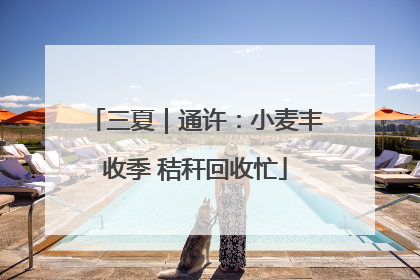 三夏｜通许：小麦丰收季 秸秆回收忙