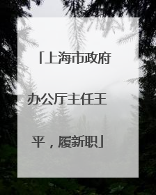 上海市政府办公厅主任王平，履新职