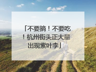不要摘！不要吃！杭州街头正大量出现紫叶李