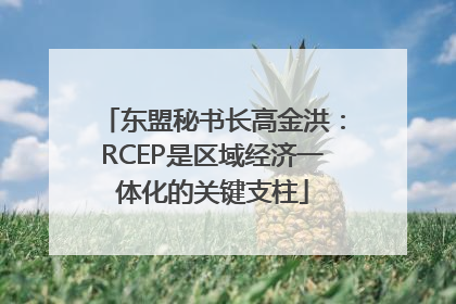 东盟秘书长高金洪：RCEP是区域经济一体化的关键支柱