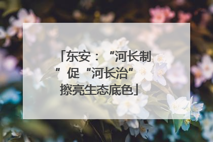 东安：“河长制”促“河长治” 擦亮生态底色