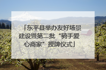 东平县举办友好场景建设暨第二批“骑手爱心商家”授牌仪式