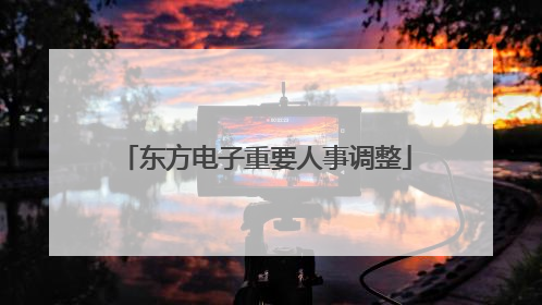 东方电子重要人事调整