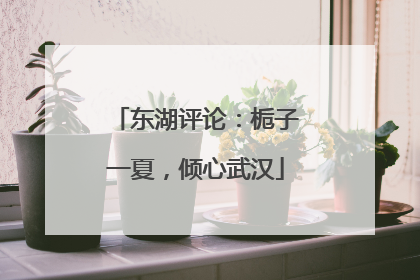 东湖评论：栀子一夏，倾心武汉