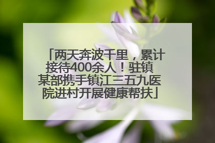 两天奔波千里，累计接待400余人！驻镇某部携手镇江三五九医院进村开展健康帮扶