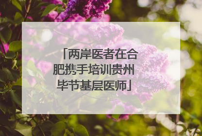 两岸医者在合肥携手培训贵州毕节基层医师