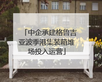 中企承建格鲁吉亚波季港集装箱堆场投入运营