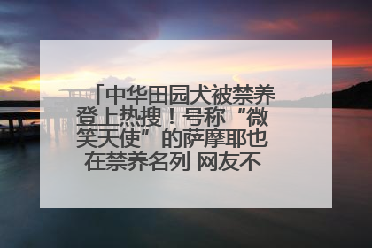 中华田园犬被禁养登上热搜！号称“微笑天使”的萨摩耶也在禁养名列 网友不解西安多部门回应