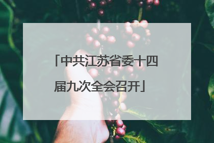 中共江苏省委十四届九次全会召开