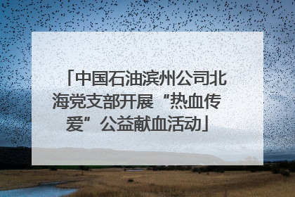 中国石油滨州公司北海党支部开展“热血传爱”公益献血活动