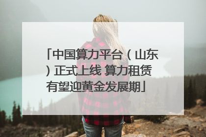 中国算力平台（山东）正式上线 算力租赁有望迎黄金发展期