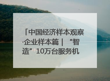 中国经济样本观察·企业样本篇｜“智造”10万台服务机器人，“小巨人”擎朗有大梦想