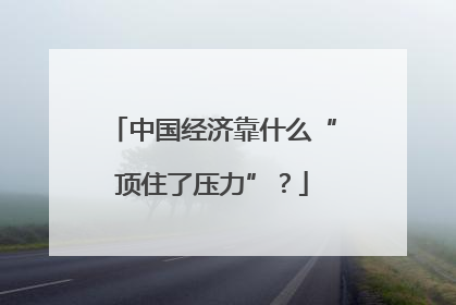 中国经济靠什么“顶住了压力”？