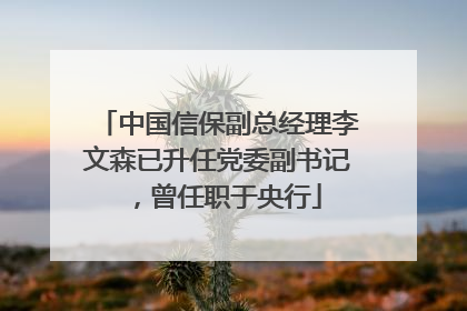 中国信保副总经理李文森已升任党委副书记，曾任职于央行