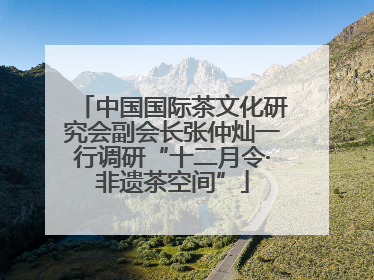 中国国际茶文化研究会副会长张仲灿一行调研“十二月令·非遗茶空间”