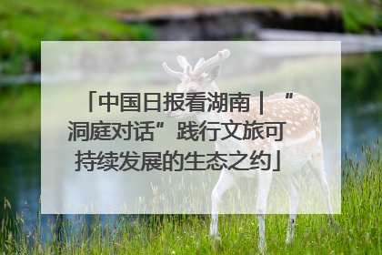 中国日报看湖南｜“洞庭对话”践行文旅可持续发展的生态之约