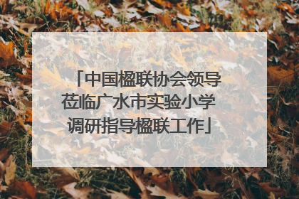 中国楹联协会领导莅临广水市实验小学调研指导楹联工作