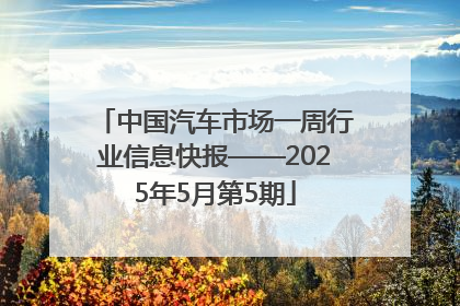 中国汽车市场一周行业信息快报——2025年5月第5期